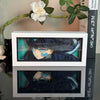 Demon Slayer Mist Hashira Light Box